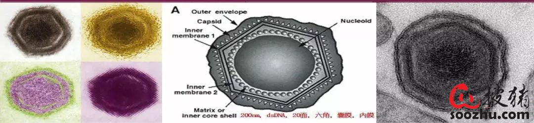 1c375112d697314ab1282f09ad30c232_c067e7380c9fd8aefd0b3e230c9e7a16f2505cea.jpg