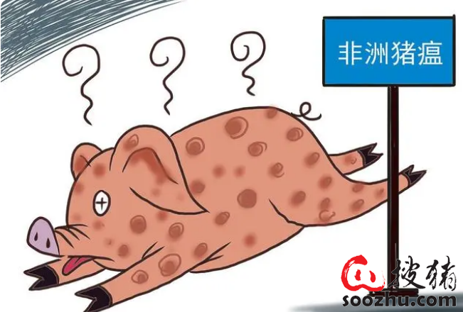 0648223b38e4c2ec85a5c16bcab30903_6c2d5e3c7a0507e76a1f5283b2796088d92741bb.png