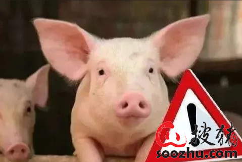 610ef56fb0484e9f1652e18fa1cde4eb_5692b93911564771cec8a7f3137fd5514929c9f9.png