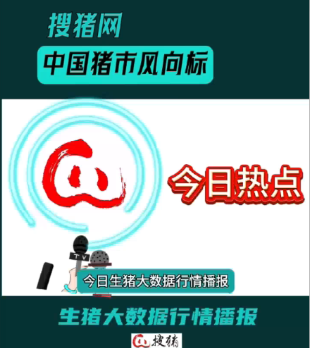 6月27日生豬日?qǐng)?bào)：今日全國(guó)瘦肉型豬出欄均價(jià)14.22元/公斤